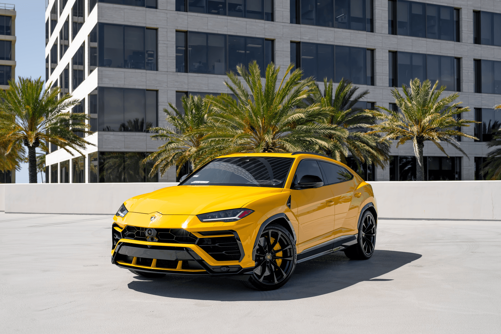 Lamborghini Urus YLW